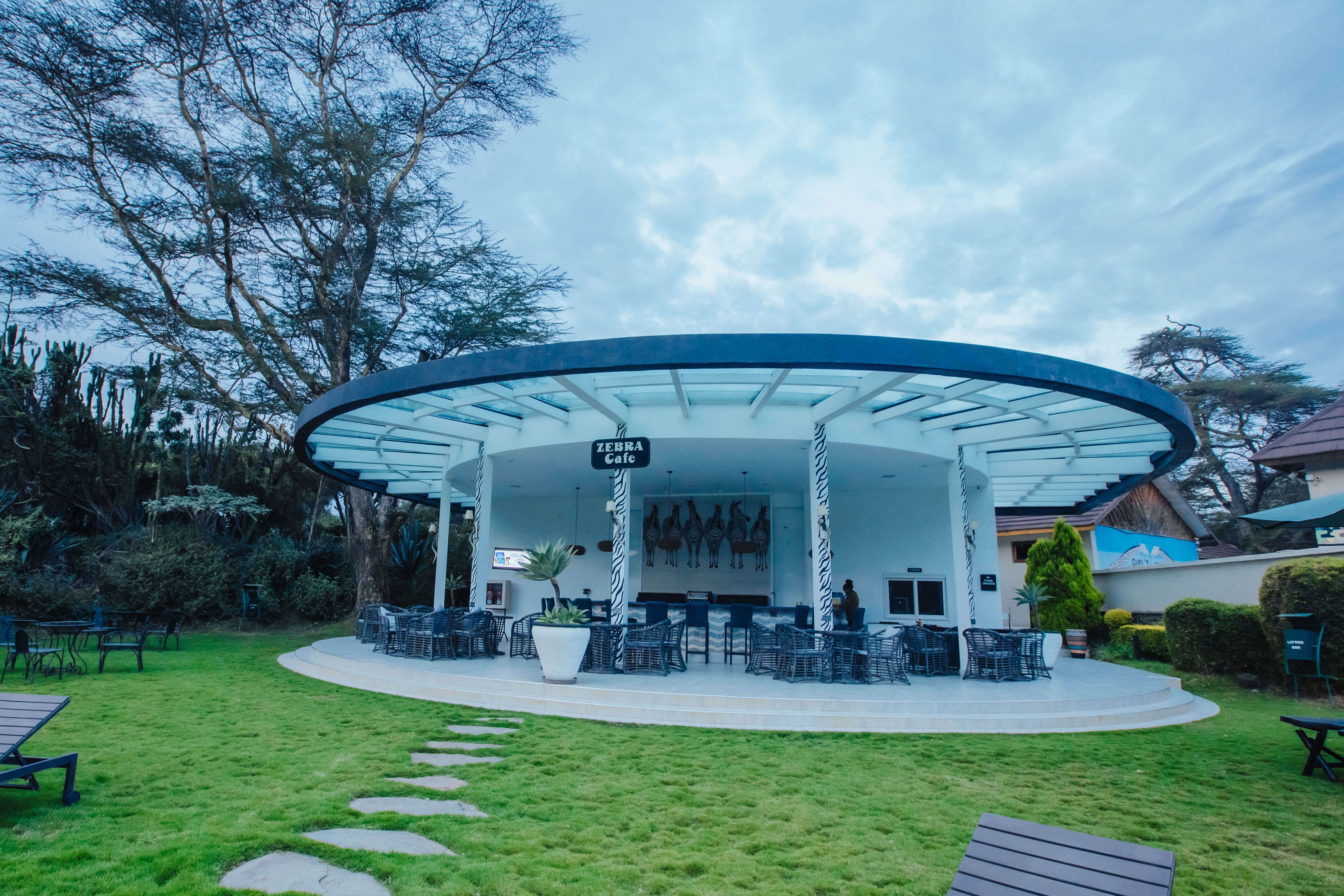Zebra Café